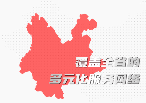 云南勤實的全省服務網絡